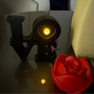 Black LOVE LED Light with 2 Red Rose light Decor